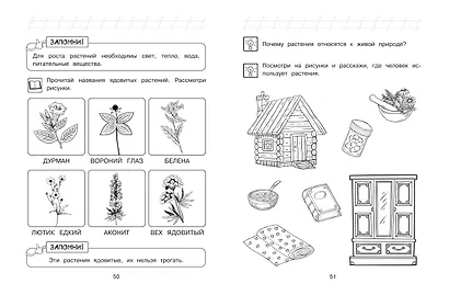 Изучаю мир вокруг: для детей 6-7 лет (ч/б) - фото 9