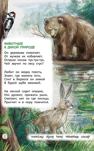 Загадки обо всём на свете. Отгадай и покажи - фото 2