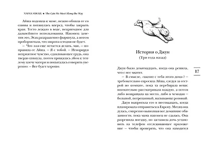 Выходя из дома, не забудьте кота - фото 15