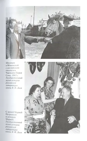 Шолохов. Незаконный - фото 6