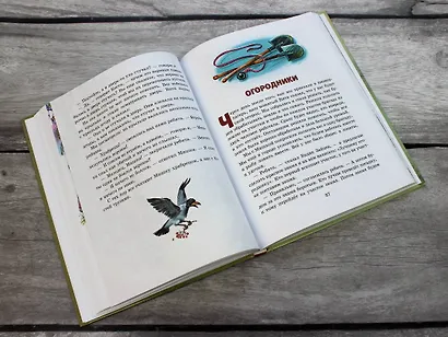 Мишкина каша. Рассказы - фото 9