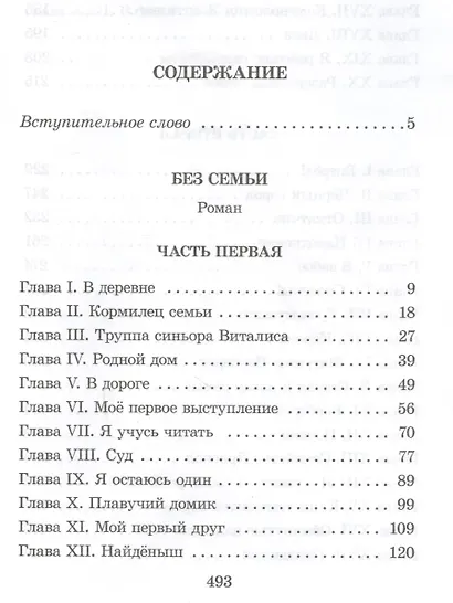 Без семьи - фото 2