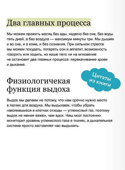 Дыхание: простой инструмент для ментального и физического здоровья - фото 7