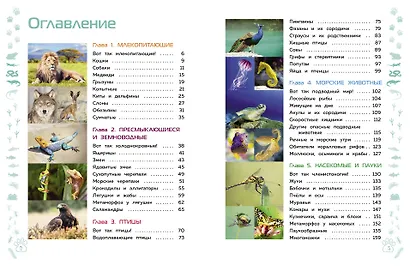 Животные. Большая детская энциклопедия - фото 4