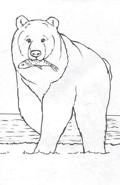 Раскраска. Дикие животные - фото 3