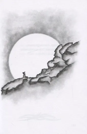 Цветок эдельвейса. Цикл зарисовок из семнадцати слогов - фото 4