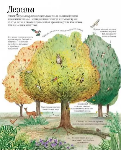 Встречи с дикой природой - фото 4