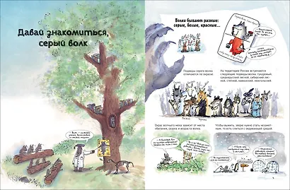 Волки. О чем говорят животные. Секретная энциклопедия - фото 3