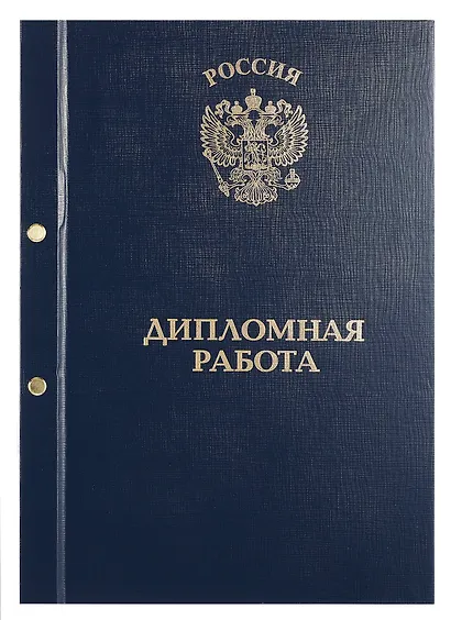 Обложка "Дипломный проект" ассорти, 2 отверстия, бумвинил - фото 5
