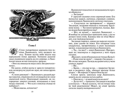 Восход солнца - фото 5