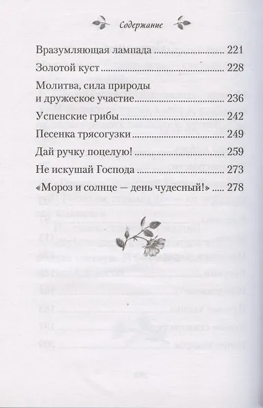 Чудесный сад. Рассказы - фото 3