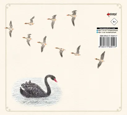 Рисуем милых птиц - фото 2