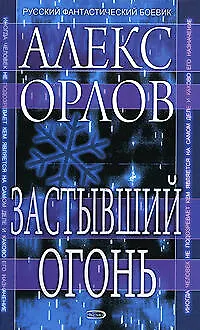 Застывший огонь - фото 1