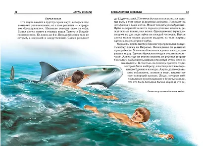 Акулы и скаты - фото 4