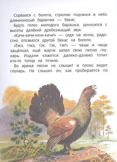 Рассказы о природе - фото 6