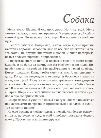 В деревне - фото 5