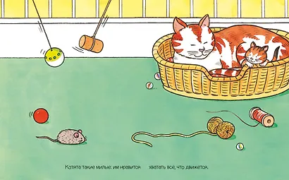 Домашние питомцы - фото 4