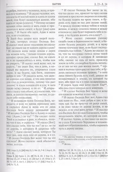 Библия. Книги Священного Писания Ветхого и Нового Завета - фото 7