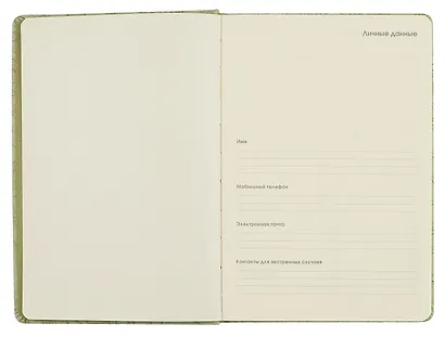 Ежедневник недат. А5 152л "Garden" салатовый, 7Б, тв.переплет, иск.кожа, скругл.углы, тонир.блок, ляссе, инд.уп - фото 3