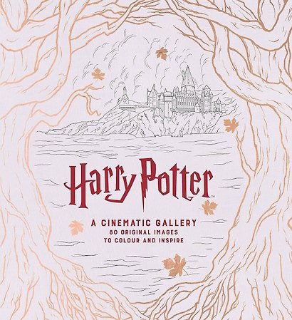 Harry Potter a Cinematic Gallery (JM Dragunas) Гарри Поттер Киногаллерея (Дж М Драгунас)/ Книги на английском языке - фото 1