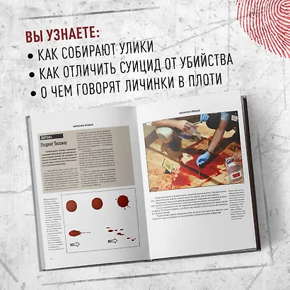 Криминалистика на пальцах и других частях тела. Иллюстрированный гид о том, как ловят серийных убийц, маньяков и психопатов - фото 6