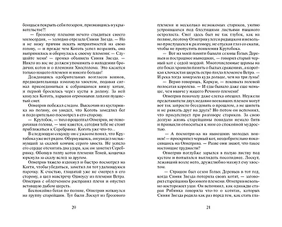 Лес секретов. - фото 10