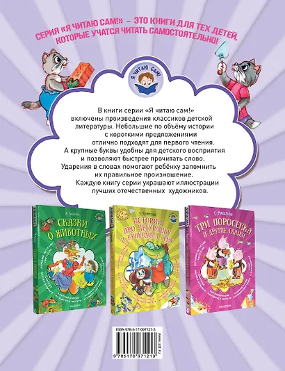 Кошкин дом - фото 2