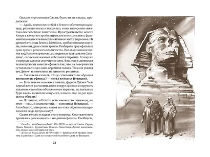 Томек в стране фараонов - фото 8