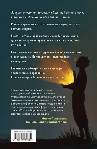 Золотые земли. Сокол и Ворон - фото 2