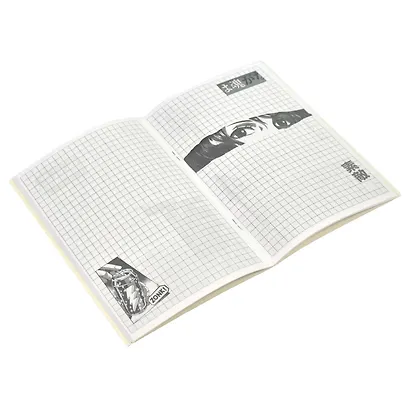 Записная книжка «Взгляд» А6, 40 листов, Феникс+ - фото 4