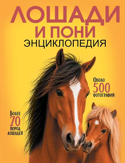 Лошади и пони - фото 1