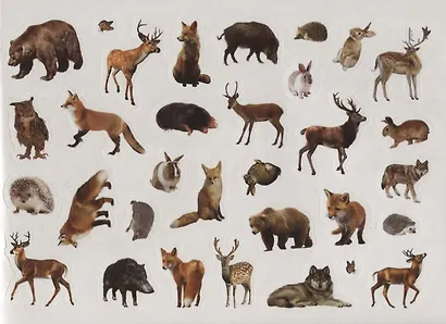 111 наклеек. Животные леса - фото 4