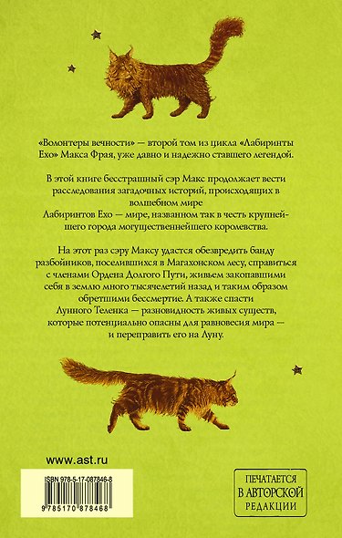 Волонтеры Вечности - фото 2