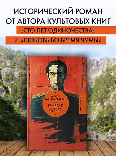 Генерал в своем лабиринте - фото 3