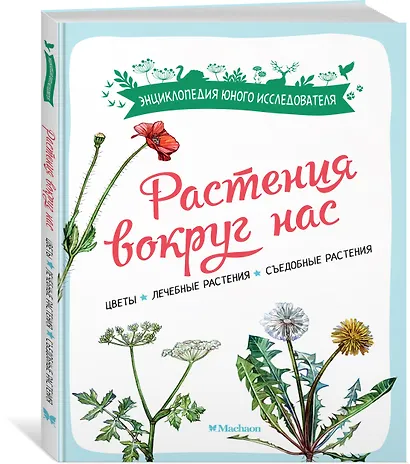 Растения вокруг нас - фото 3