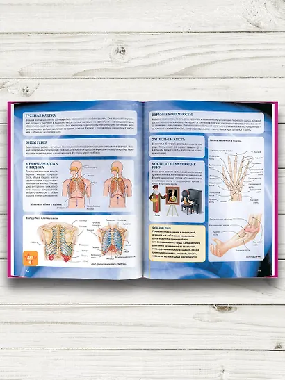 Человек - фото 5