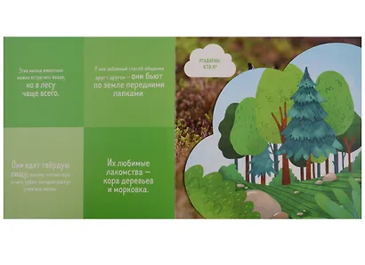 Кто прячется в лесу? - фото 2