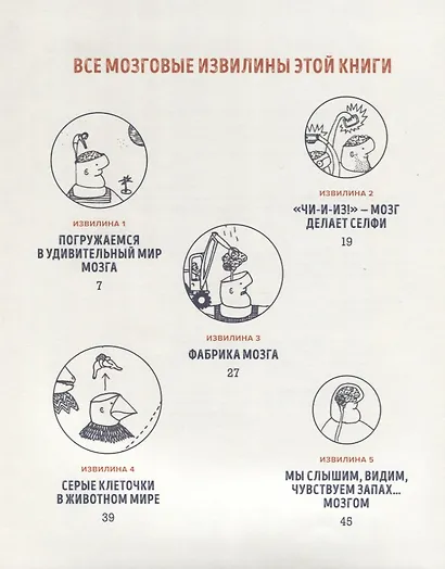 В моей голове. Как устроен мозг и зачем он нам нужен - фото 3