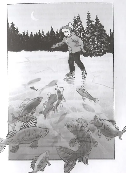 Театр теней - фото 3