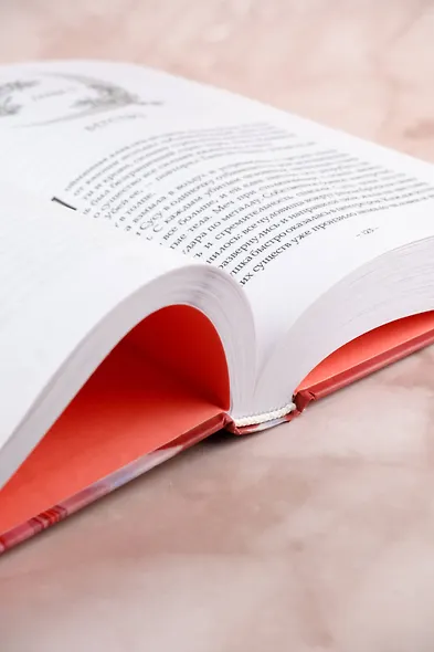 Светлый пепел луны. Книга 1. Новелла - фото 12