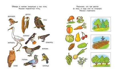 Что нас окружает (5-6 лет) - фото 9
