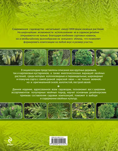 Хвойные растения. Большая энциклопедия - фото 2
