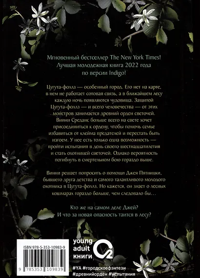 Светочи. Книга 1. Испытание кошмаром - фото 4