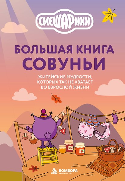 Большая книга Совуньи. Житейские мудрости, которых так не хватает во взрослой жизни - фото 1