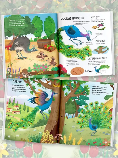 Животные на ферме - фото 4