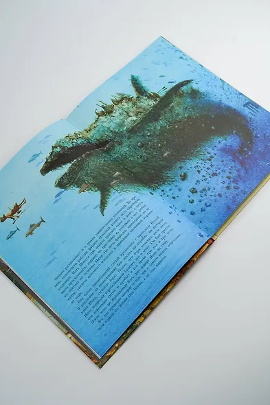 Сказочная история мореплавания - фото 15