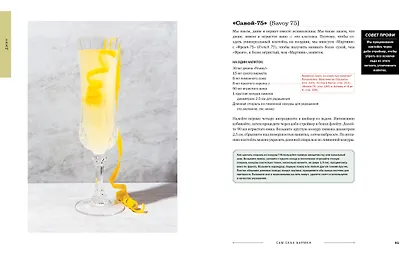 Сам себе бармен. Безошибочный путеводитель по поиску (и приготовлению) идеального коктейля - фото 9