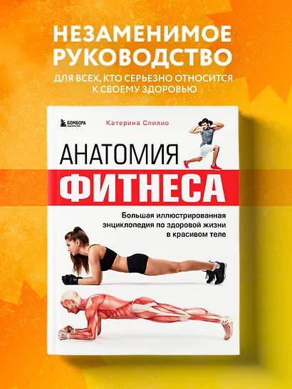 Анатомия фитнеса. Большая иллюстрированная энциклопедия по здоровой жизни в красивом теле - фото 4