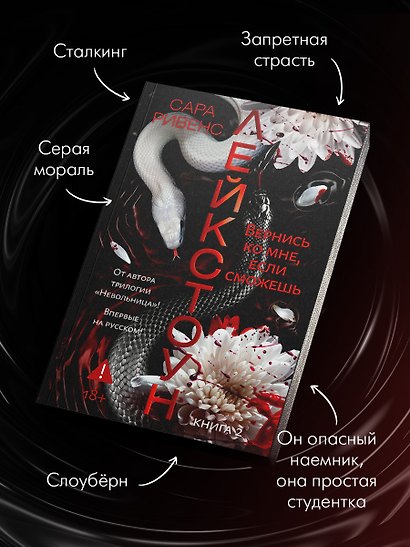 Лейкстоун. Книга 2. Вернись ко мне, если сможешь. Комплект с мерчем - фото 2