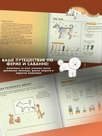 Школа рисования для начинающих: милые животные - фото 7